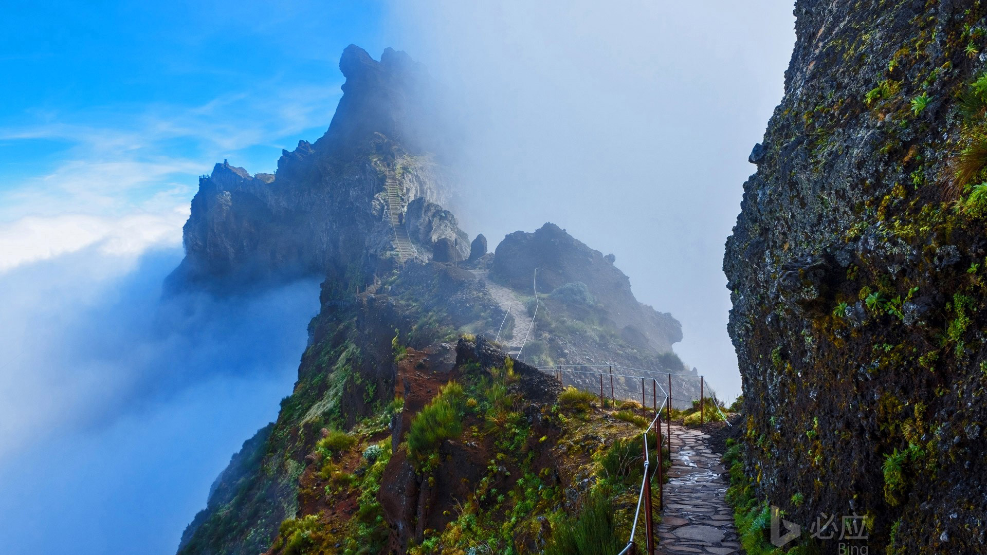 Git  个人常用命令